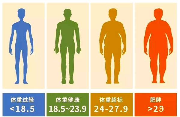 人體健康指標有哪些？輕松讀懂自己的身體信號